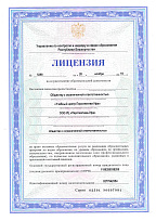 Лицензия